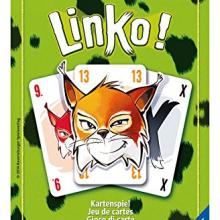 The Box art for Linko