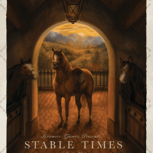 Box art for Stable Times