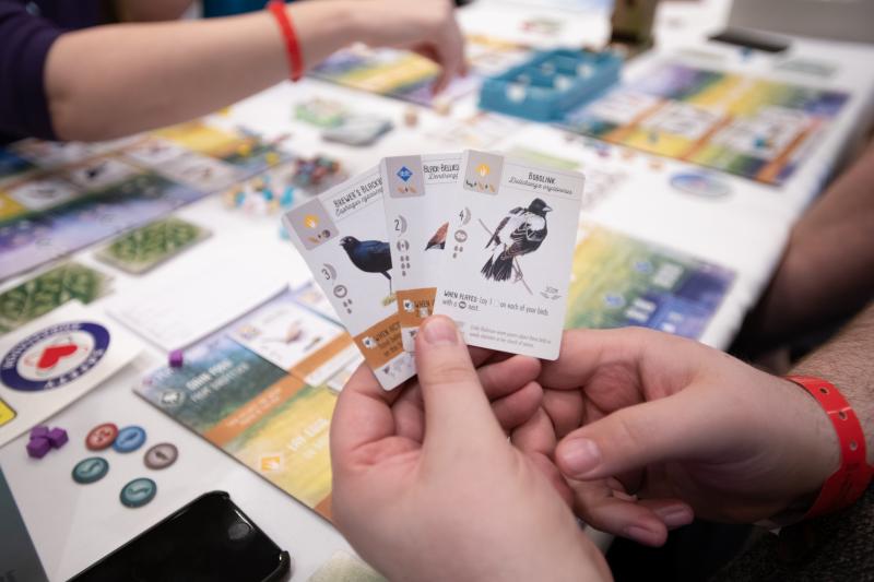 Lots of Wingspan hitting the tables this year.